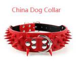 Comfort Meets Craft with tallfly China Dog Collar Range