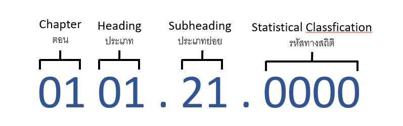 HS Code คือ