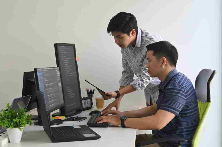Software Developer