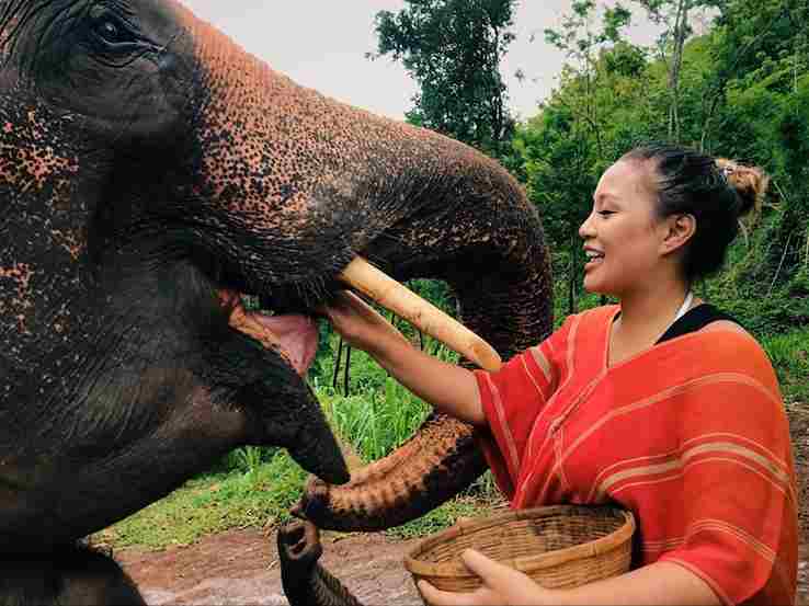 Ethical Elephant Sanctuary Chiang Mai