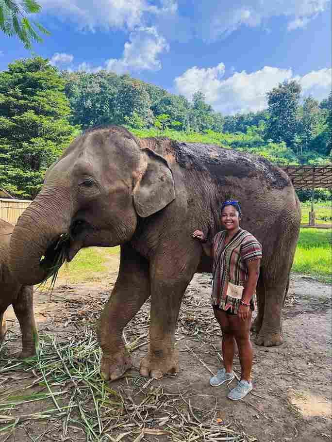 Visitor Ethical Elephant Sanctuary in Chiang Mai