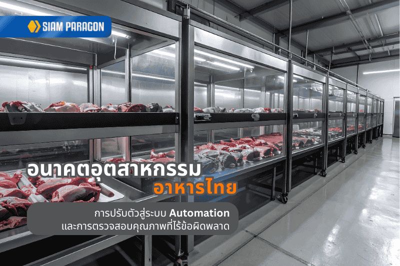 ขีดเขียนดอทคอม